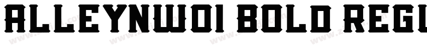 AlleynW01 Bold Regul字体转换